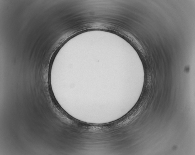 X0000116650938201001111226