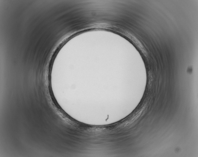 X0000116650939201001111226