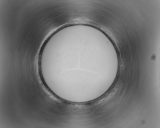 X0000116650941201001111226