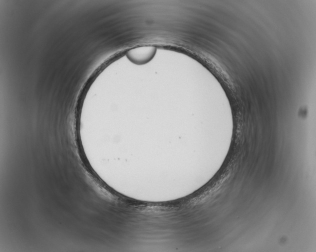 X0000116650942201001111226