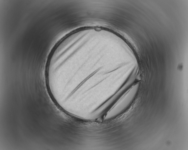 X0000116650943201001111226