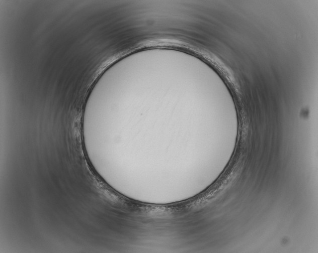 X0000116650945201001111226