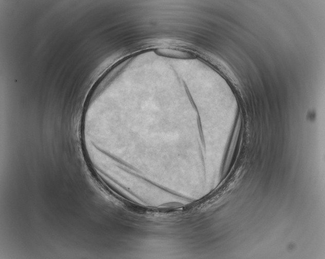 X0000116650946201001111226