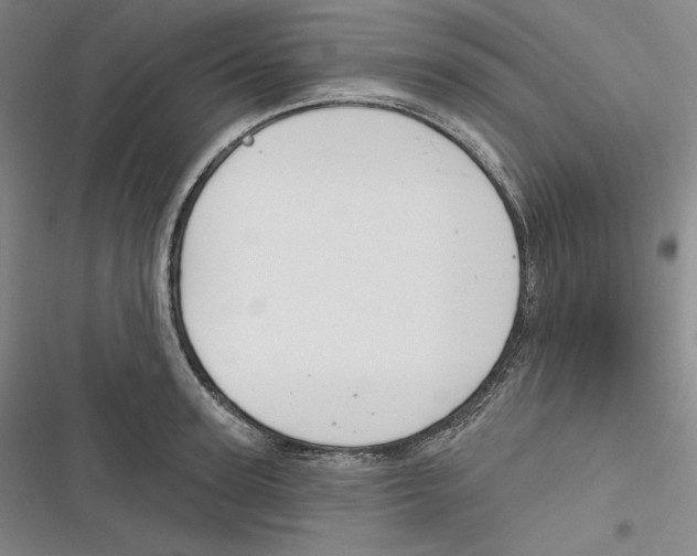 X0000116650947201001111226