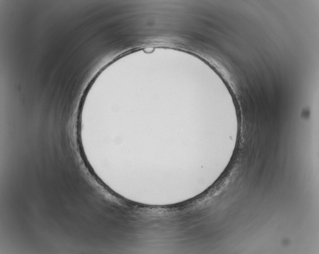 X0000116650949201001111226