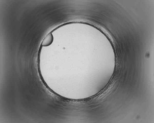 X0000116650951201001111226