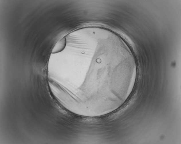 X0000116650953201001111226