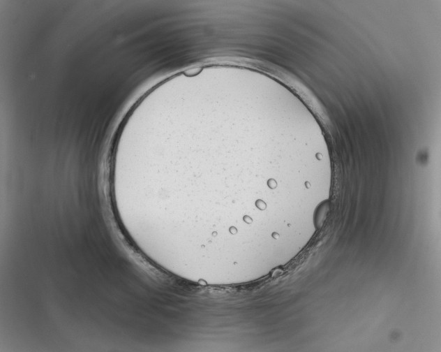 X0000116650955201001111226