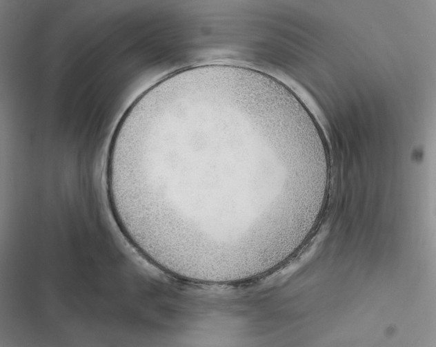 X0000116650957201001111226