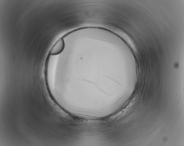 X0000116650958201001111226