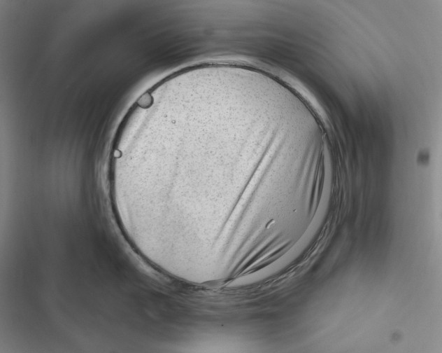 X0000116650959201001111226