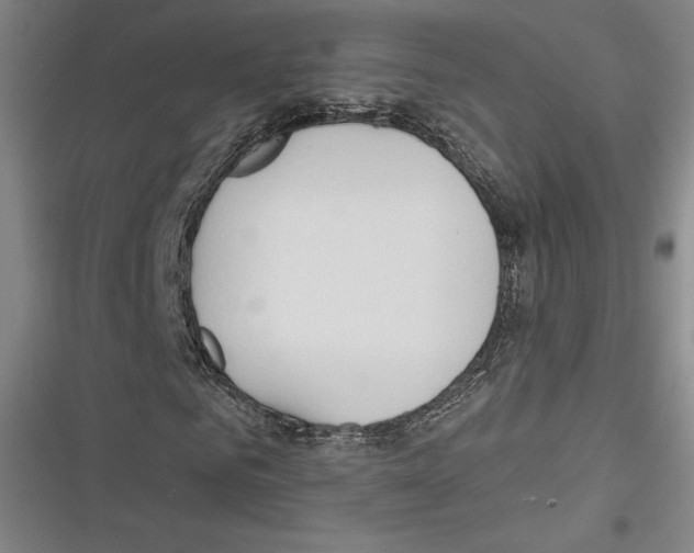 X0000116650961201001111226