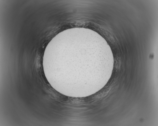 X0000116650962201001111226