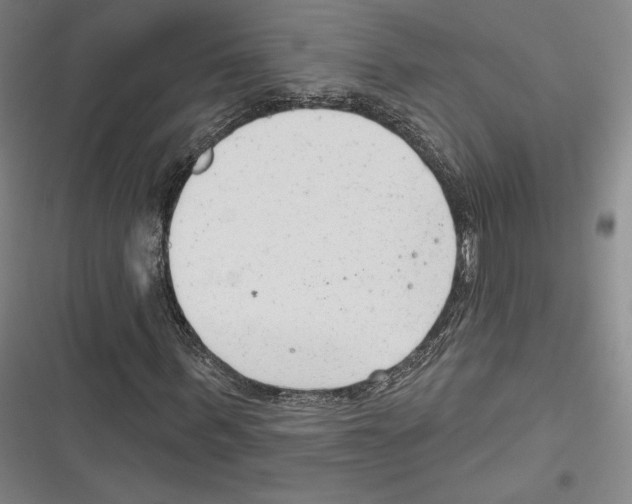 X0000116650963201001111226