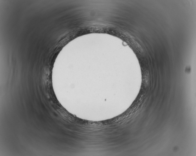 X0000116650964201001111226