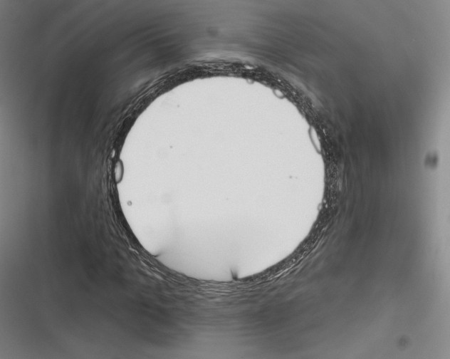 X0000116650965201001111226