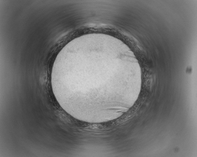 X0000116650966201001111225