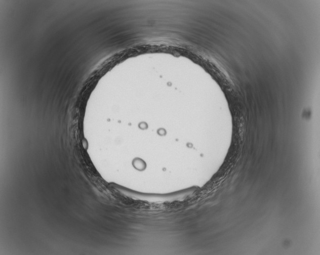 X0000116650968201001111225