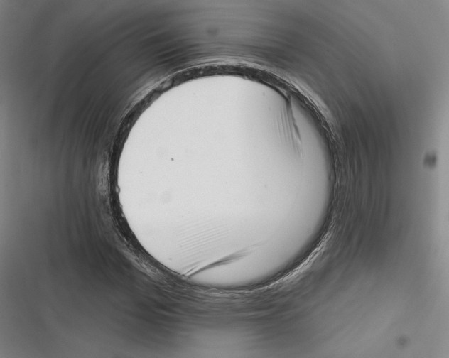 X0000116650969201001111225