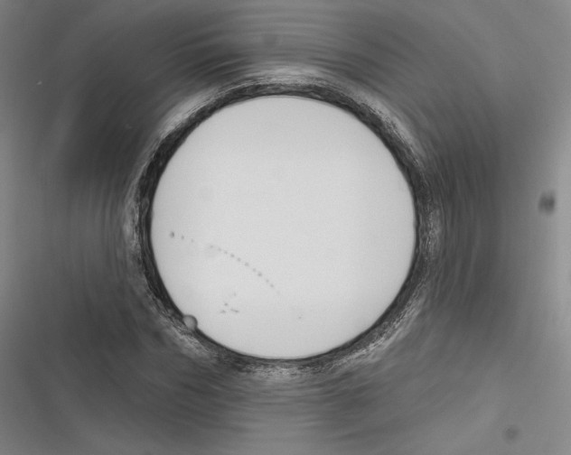 X0000116650970201001111225