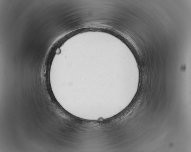 X0000116650971201001111225