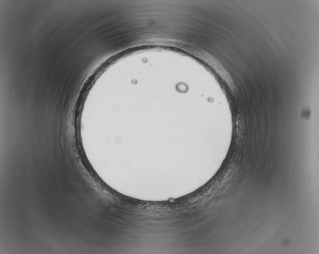 X0000116650972201001111225