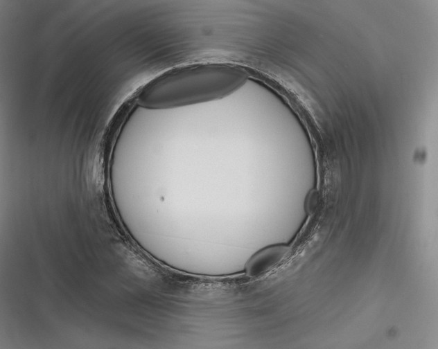 X0000116650973201001111225