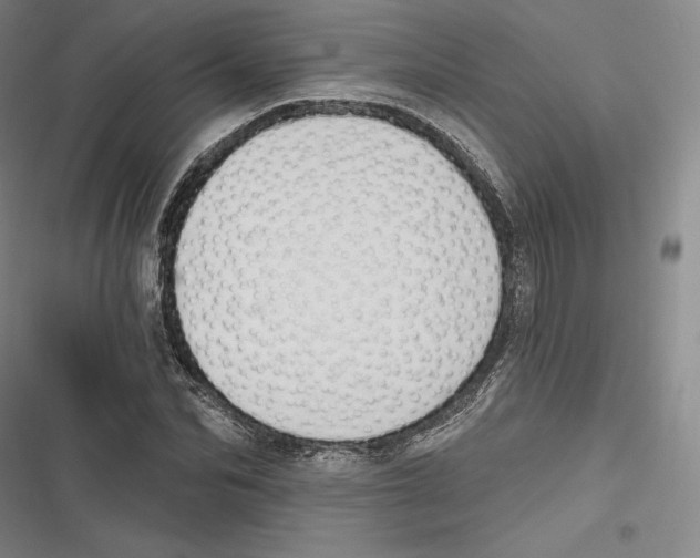 X0000116650974201001111225