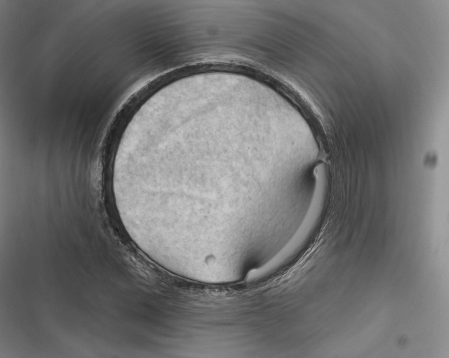 X0000116650975201001111225