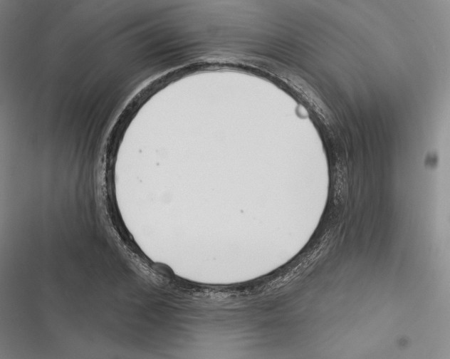 X0000116650976201001111225