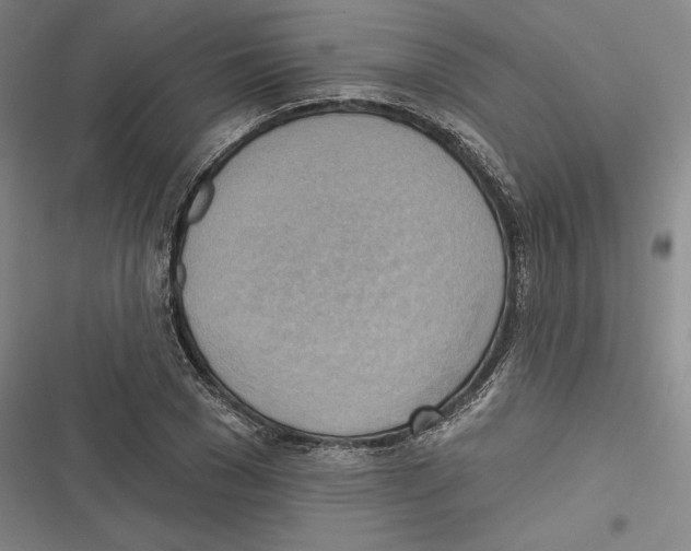 X0000116650977201001111225