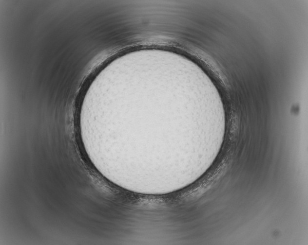 X0000116650978201001111225