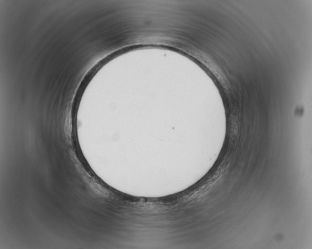 X0000116650980201001111225