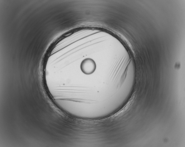 X0000116650981201001111225