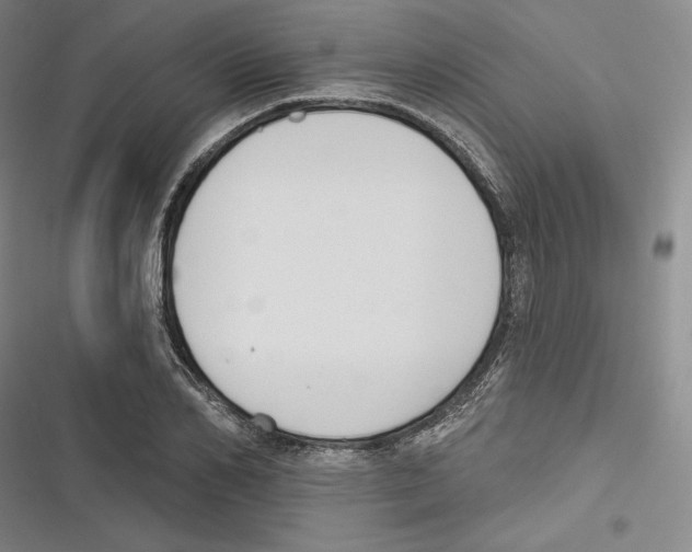 X0000116650982201001111225