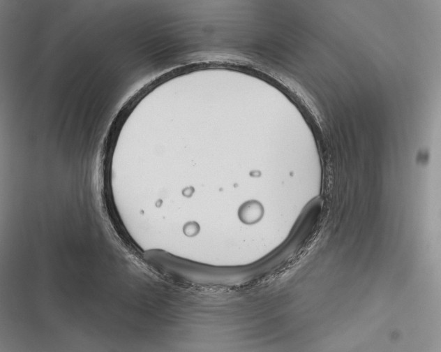 X0000116650983201001111225