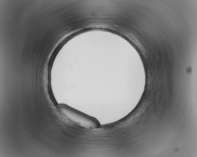 X0000116650984201001111225