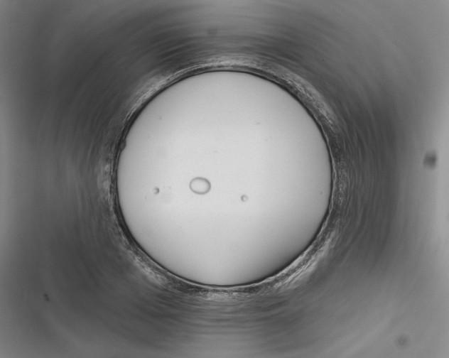 X0000116650985201001111225