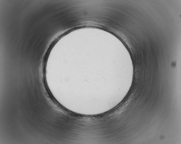 X0000116650987201001111225