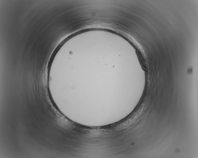 X0000116650988201001111225