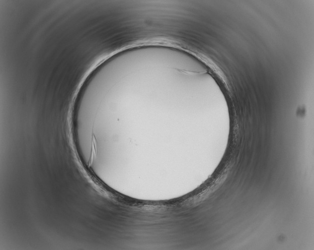 X0000116650989201001111225