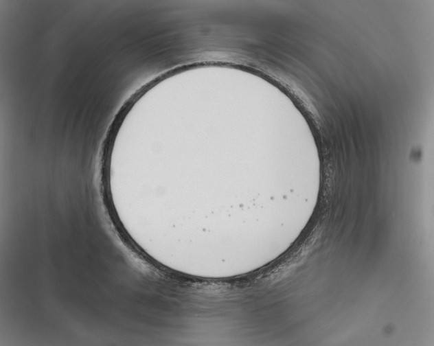 X0000116650991201001111225