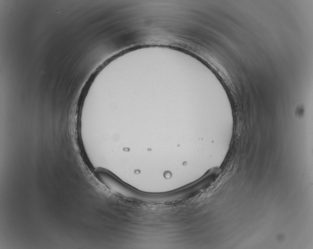 X0000116650992201001111225