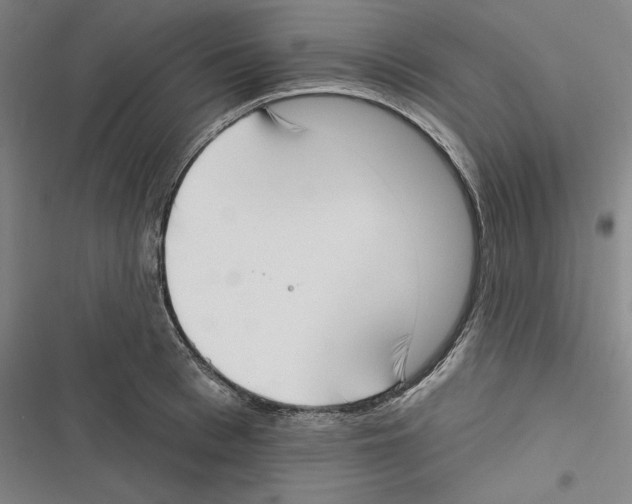 X0000116650993201001111225