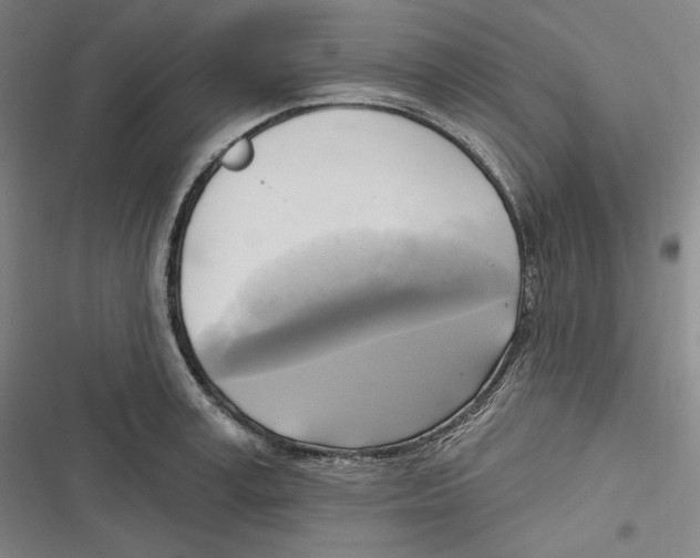 X0000116650995201001111225