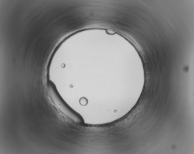 X0000116650996201001111225