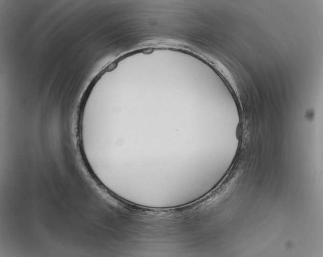 X0000116650997201001111225