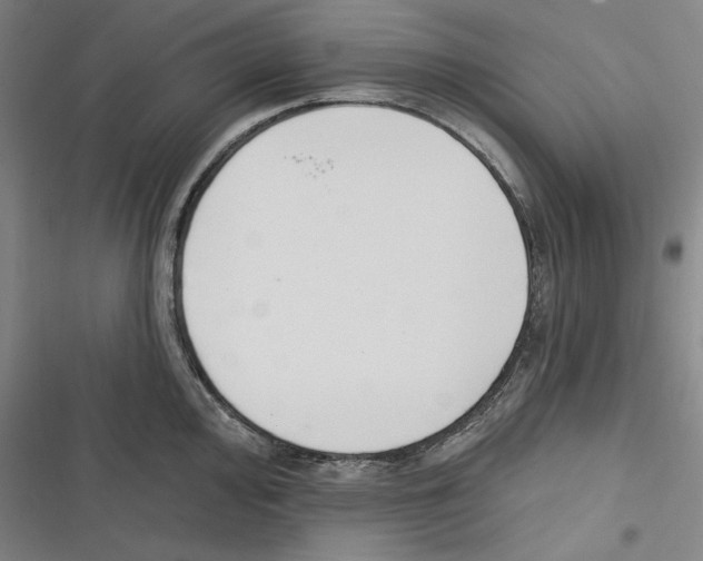 X0000116651000201001111225