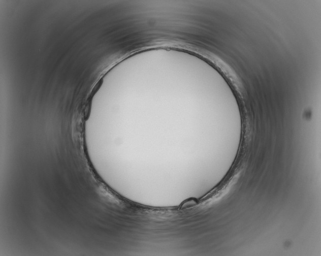 X0000116651001201001111225