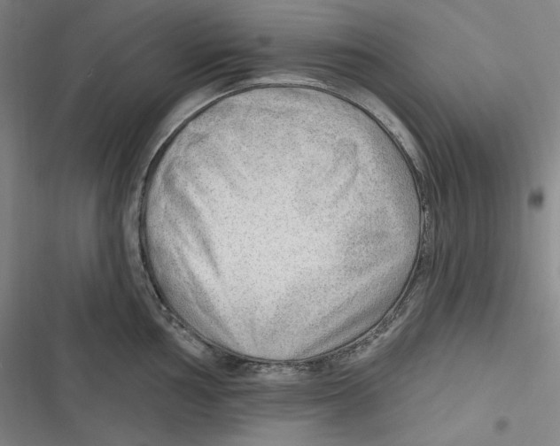 X0000116651002201001111225